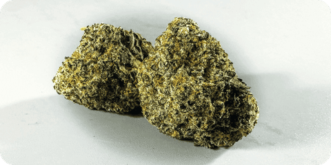 Zwei Cannabisblüten auf weißem Grund