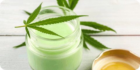 Ein offener Tiegel mit Creme darin und Cannabisblatt dahinter