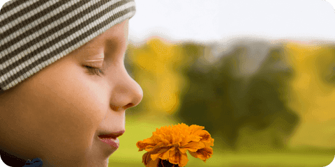 Ein Kind riecht an einer orangenen Blume