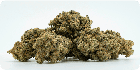 Ein paar Cannabisblüten auf einem kleinen Haufen