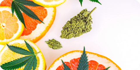 Zitrusfrüchte und Cannabisblätter